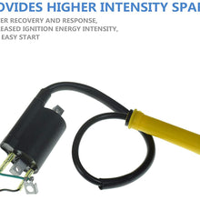Ignition Coil & Spark Plug Fits for  Honda Sportrax 400 TRX400EX XR400R 30500-HN1-003
