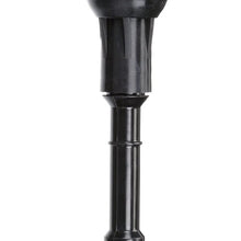 Delphi GN10219 Ignition Coil