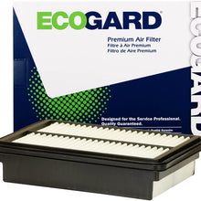 ECOGARD XA10578 Premium Engine Air Filter Fits 2017-2020 Hyundai Elantra, 2018-2019 Elantra GT, 2018-2020 Hyundai Kona, 2019-2020 Hyundai Veloster, 2019 Veloster N, Kia Forte 2019