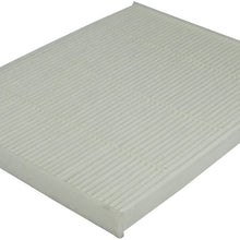 Ecogard XC10011 Cabin Air Filter
