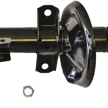 Gabriel G56809 Ultra Strut, 1 Pack