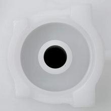Delphi FG1640 Fuel Module