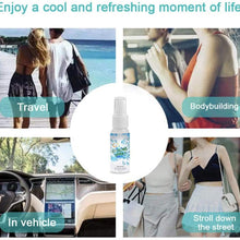 Cooling Mist Spray Mint Cooling Spray, Cools Face and Body Mist Home Indoor Air Freshener Rapid Cooling Agent Coolant Summer Vehicle Ice Spray