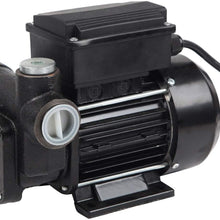 Trupow 110V AC 20GPM Electric Self-priming Diesel Kerosene Oil Fuel Transfer Extractor Pump