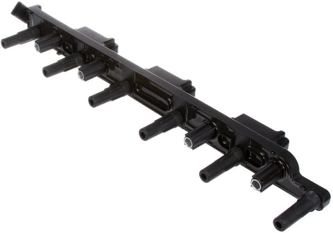 Delphi GN10529 Cassette Ignition Coil