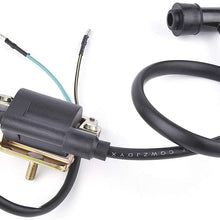 Ignition Coil Replacement for Kazuma Falcon Panda 50cc 90cc 110cc ATV