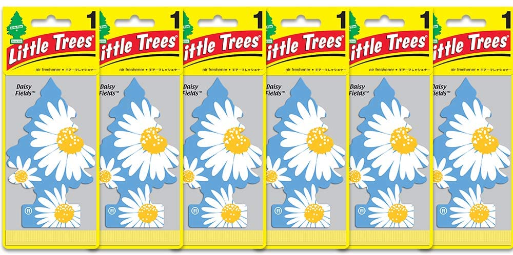 LITTLE TREES Car Air Freshener | Hanging Paper Tree for Home or Car | Daisy Fields | 6 Pack