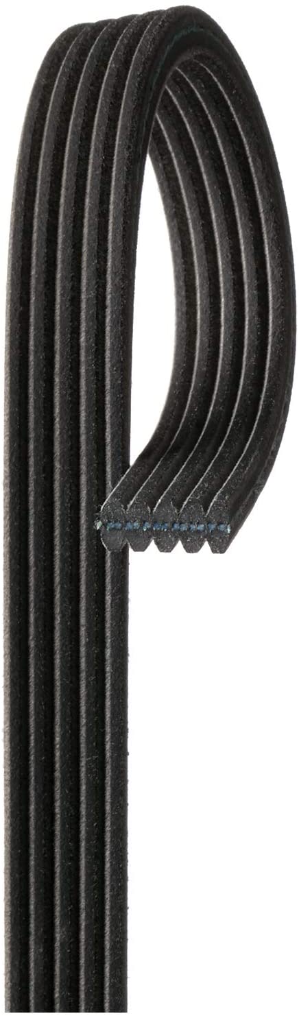 ACDelco 5DK565 Professional Double-Sided V-Ribbed Belt