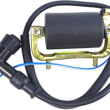 TIKSCIENCE Ignition Coil with Cap,Fit for 1970-1973 Honda CT70HK Trail,for 1969-1975 Honda CT70K Trail,for 1976-1982 Honda CT70 Trail, Replace 30530-126-921-Black