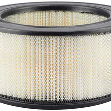Air Filter, 8-1/4 x 3-15/16 in.