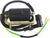 TIKSCIENCE Ignition Coil with Cap,Fit for 1970-1973 Honda CT70HK Trail,for 1969-1975 Honda CT70K Trail,for 1976-1982 Honda CT70 Trail, Replace 30530-126-921-Black