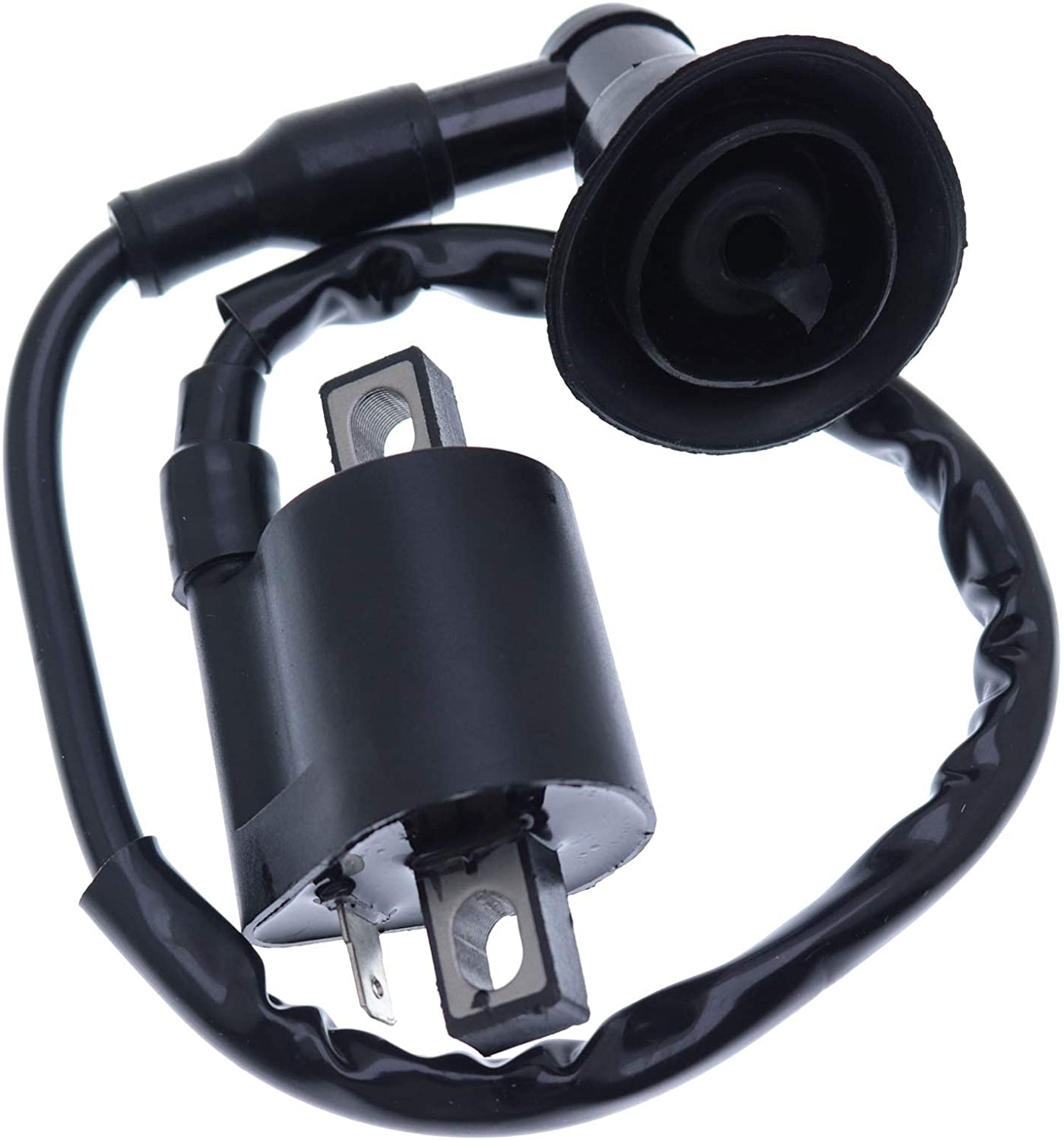Holdwell New Ignition Coil for Polaris Sportsman 90 2001 2002 2003 2004 2005 2006
