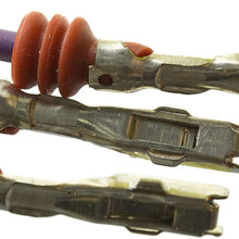 WVE by NTK 1P1801 Ignition Coil Connector, 1 Pack