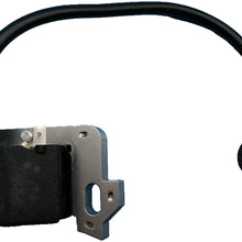 Tuzliufi Ignition Coil for GC135 GC160 GC190 GCV135 GCV160 GCV190 GS160 GS190 GSV160 GSV190 engines 30500-ZL8-004 30500-ZL8-014 30500-Z0J-003 30500-Z0J-004 New Z22