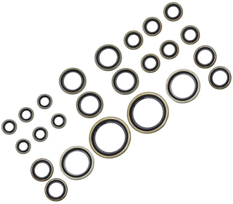 Aeloa 24pcs/Set Imperial Standard Copper Skeleton Oil Seals Assortments for Car