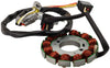 Magneto Stator Ignition Coil 4WV-85510-00-00 Generator Stator For Yamaha 600 Yfm600fwa Yamaha Grizzly 1998