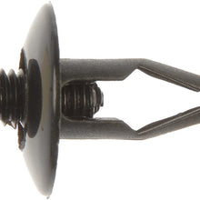 Dorman 700-424 Screw-In Rivet