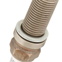 Autolite APP5683 Double Platinum Spark Plug, Pack of 1