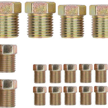 SHINEHOME 25 Ft. 3/16" Brake Line Tubing Coil Roll with Fittings Plugs Fuel Line Tube Coil Transmission Line Tube Coil