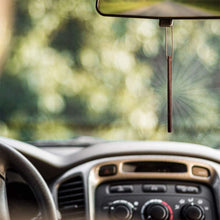 Enviroscents Auto Sticks Natural Car Air Fresheners, 6-Pack with 12 Sticks (New Car)