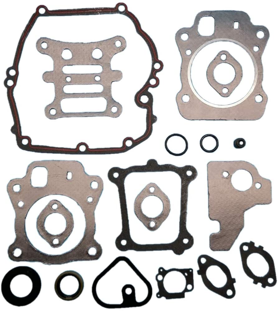 Tuzliufi Complete Engine Rebuild Gasket Set Kit for 592173 799495 796661 Lawn Garden Equipment 110P02 110P05 111P02 111P05 111P07 112P02 112P05 114P02 114P05 114P07 11P902 11P905 11P907 New Z471