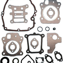 Tuzliufi Complete Engine Rebuild Gasket Set Kit for 592173 799495 796661 Lawn Garden Equipment 110P02 110P05 111P02 111P05 111P07 112P02 112P05 114P02 114P05 114P07 11P902 11P905 11P907 New Z471
