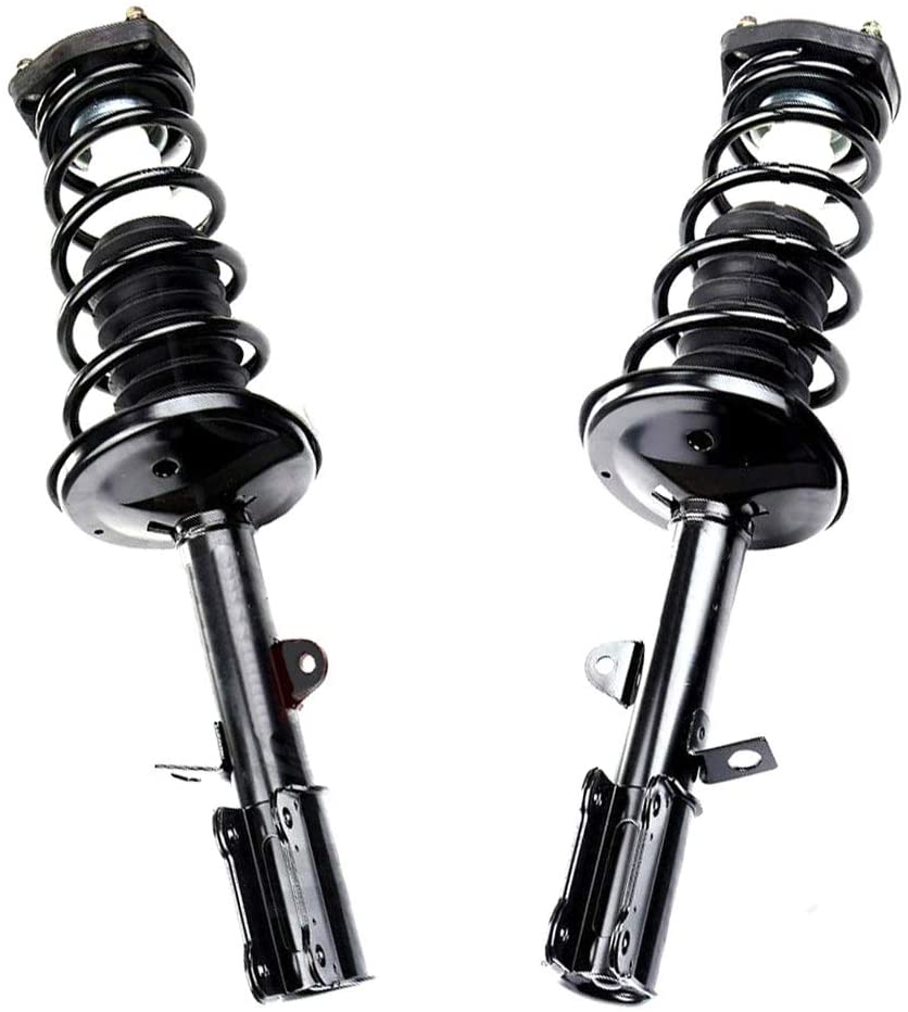 RUILIJIA Rear Complete Strut & Spring Assembly Fit 93-02 Corolla Geo Prizm hevrolet Prizm 171954