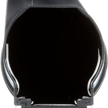 Delphi GN10316 Pencil Coil