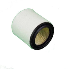 Killer Filter 102-4263-A 110377E100 Quincy Filter Element Replacement (Pack of 2)