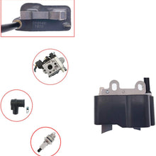 PARTSRUN PB-251 Carburetor Ignition Coil for Echo PB-251 PB-255 PB-255LN ES-255 PB-265LN Blowers Carb RB-K85 Ignition Coil A411000290 ID#C10146 with BM6A Spark Plug,ZF271-KIT