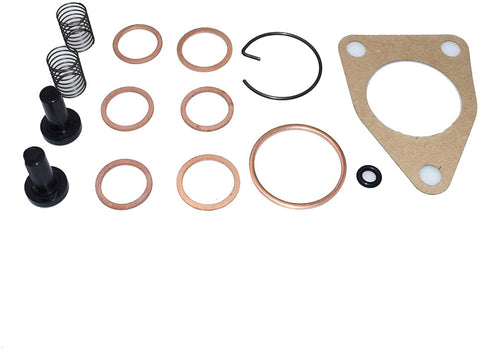 New Gasket Kit For DGK301 Supply Pumps ADS-DGK-301 Feed Pump kit 2447010004