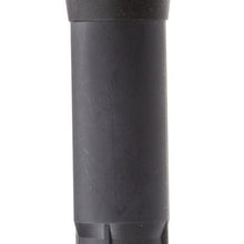 Delphi GN10237 Pencil Coil