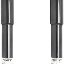 Unity Automotive 2-259600-001 Quick Complete Strut Assembly Kit (Rear Pair)