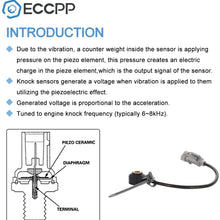ECCPP Knock Detonation Sensor with Harness compatible with 2012 2013 2014 2015 Kia Rio 2012-2014 Hyundai Accent 392502B000