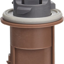 Standard Motor Products - S874 Turn Signal Lamp Socket