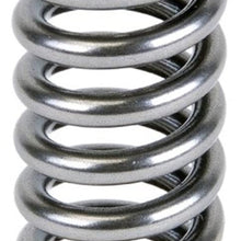 Skunk2 344-05-1350 Alpha Valve Spring and Titanium Retainer Kit