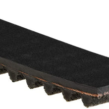 ACDelco 19341317 Professional Engine Timing Belt, 1 Pack