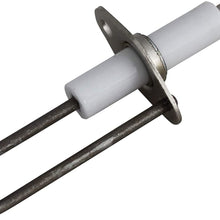 NBK 20306 - Water Heater Electrode Assembly 2-Prong - 232258