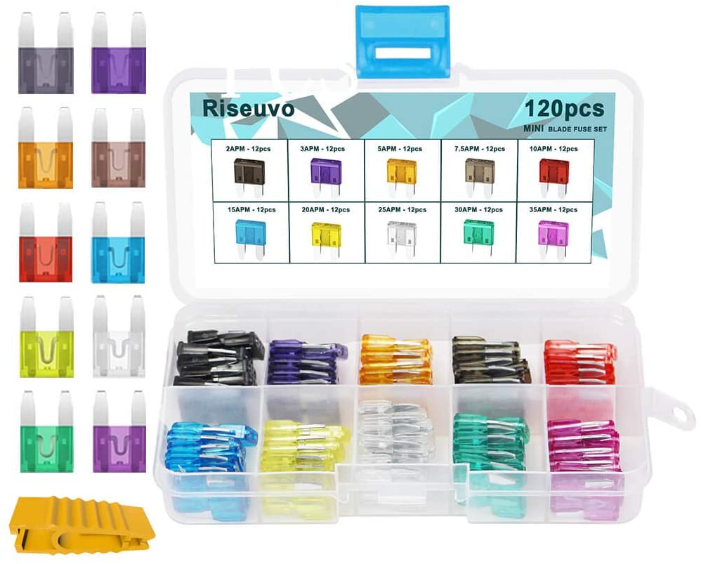 Riseuvo Mini Blade Fuse Assortment - Car Automotive Truck Auto ATM Fuse Kit (2 3 5 7.5 10 15 20 25 30 35 AMP)