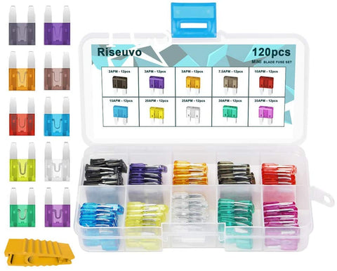 Riseuvo Mini Blade Fuse Assortment - Car Automotive Truck Auto ATM Fuse Kit (2 3 5 7.5 10 15 20 25 30 35 AMP)