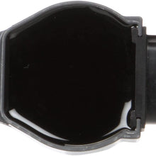 Delphi GN10519 Pencil Coil