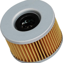 HIFROM ATV Air Filter Element Cleaner with Oil Filter Replacement for Honda Rubicon 500 650 TRX500FA TRX500FGA TRX650FA TRX650FGA Replace 17254-HN1-000 15412-KEA-003