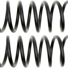 ACDelco 45H0385 Professional Rear Coil Spring Set