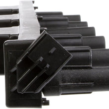 Delphi GN10529 Cassette Ignition Coil