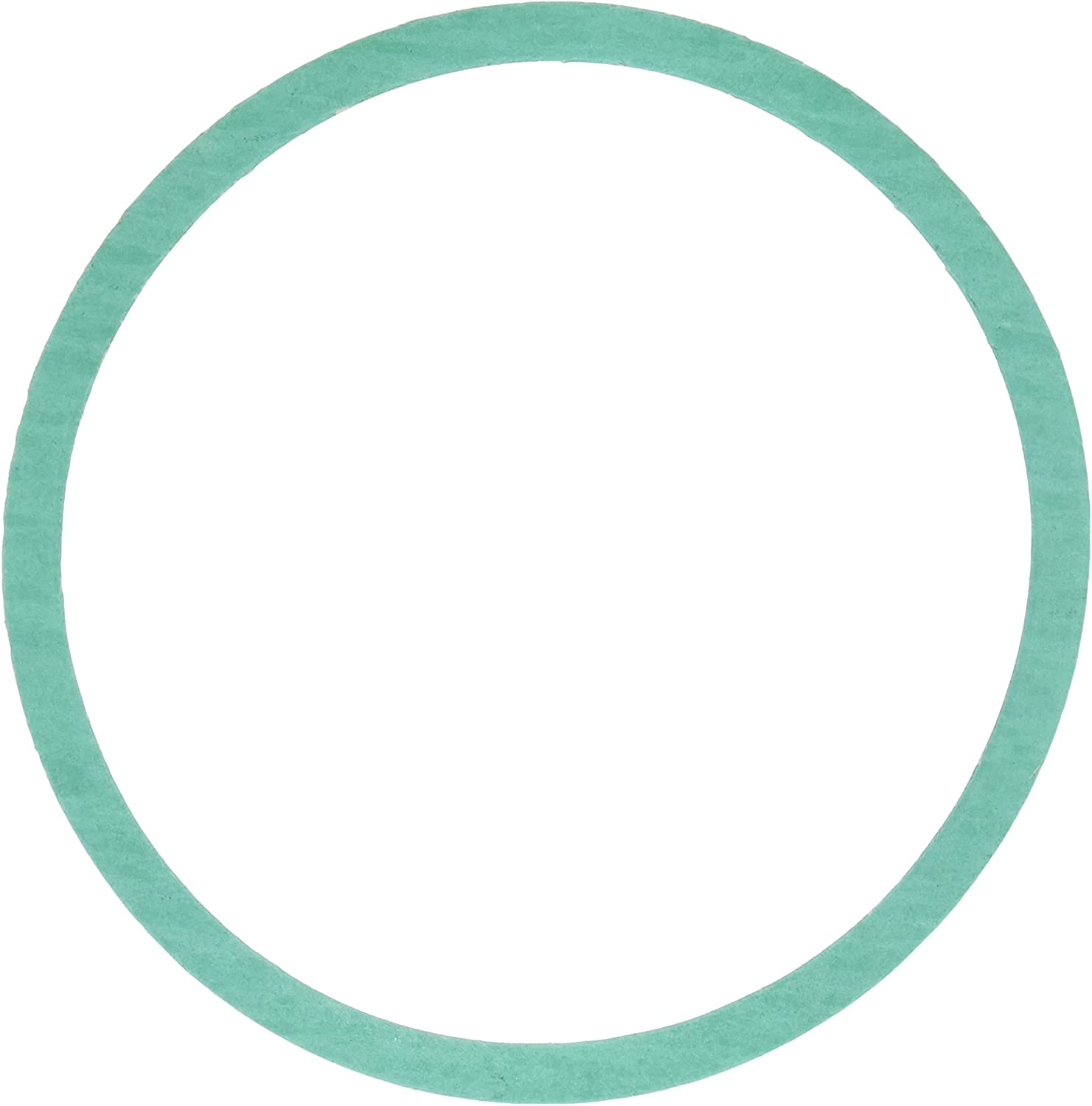 Armstrong Pumps 426401-002 Casing Gasket
