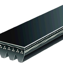 ACDelco 4K319 Professional V-Ribbed Serpentine Belt