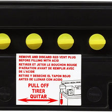 ACDelco AB12N94B1 Specialty Conventional Powersports JIS 12N9-4B-1 Battery