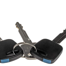 Dorman 989-713 Ignition Lock Cylinder for Select Ford Models, Silver (OE FIX)