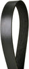 Continental OE Technology Series 4080535 8-Rib, 53.5
