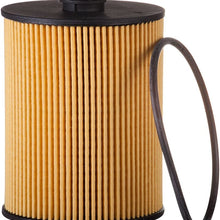 Filtro de aceite Gurad Premium, Extended Life PG6293EX, compatible con Volkswagen Atlas, Porsche Cayenne 2018-20, Volkswagen Touareg, 2012-18, 2012-17, 2012-18 Passat, 2012-17 CC, 2020 Atlas Cross Sport